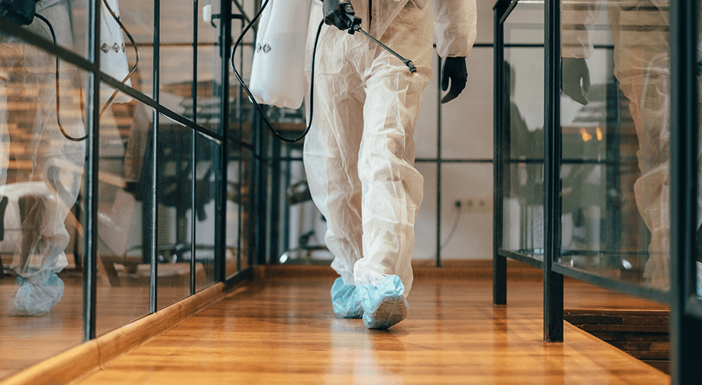 Cost of mold remediation
