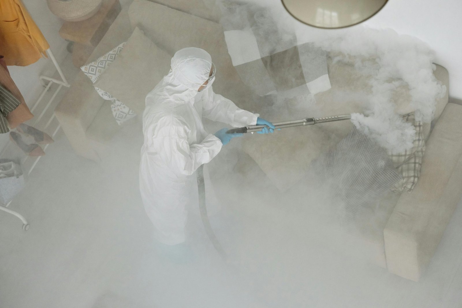 mold remediation in Commack