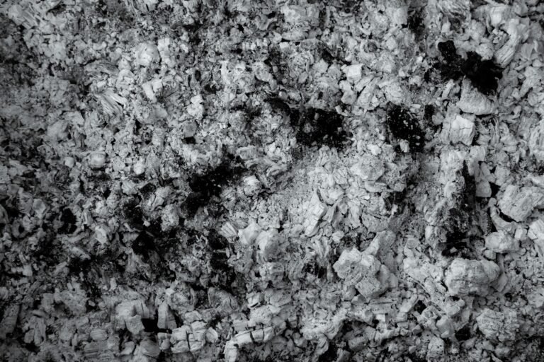 Complete Guide to Asbestos Testing and Removal for Property Owners