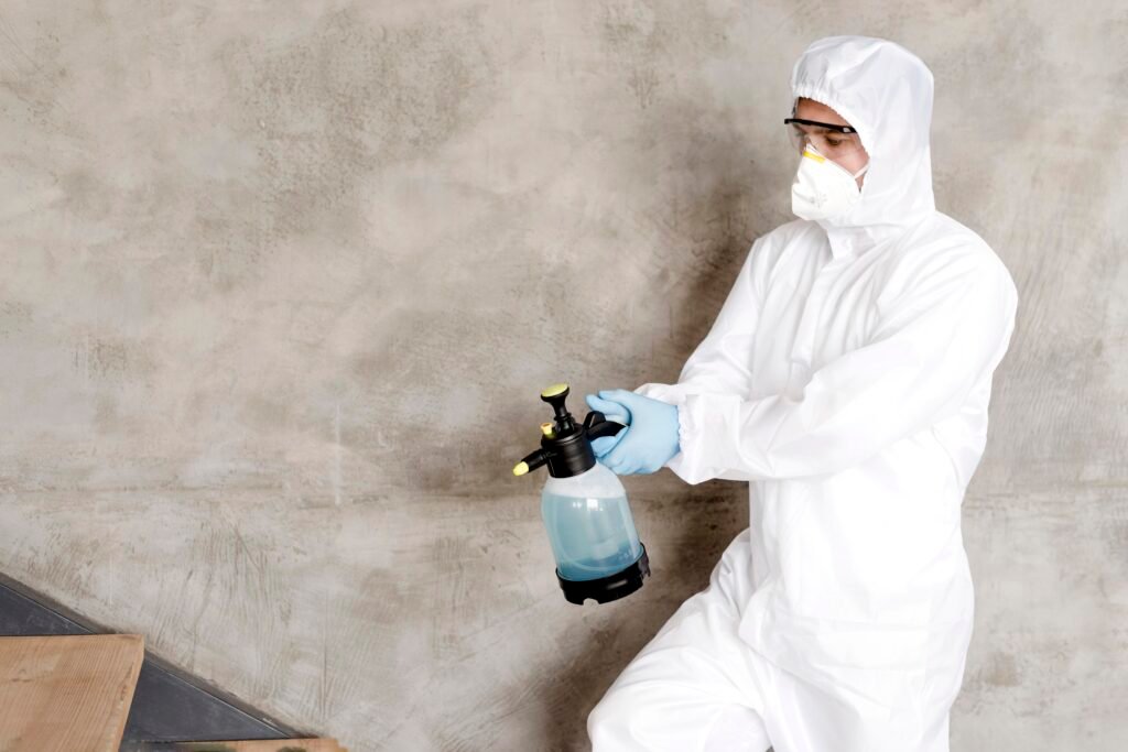 mold inspection and remediation guide