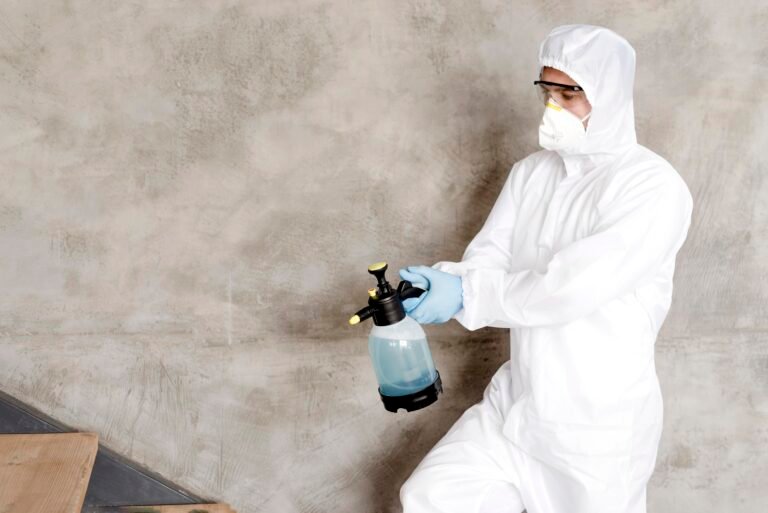 mold inspection and remediation guide