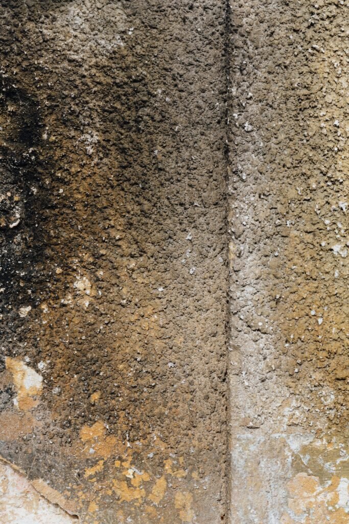 QualTeck Corp provides pre-demolition asbestos surveys