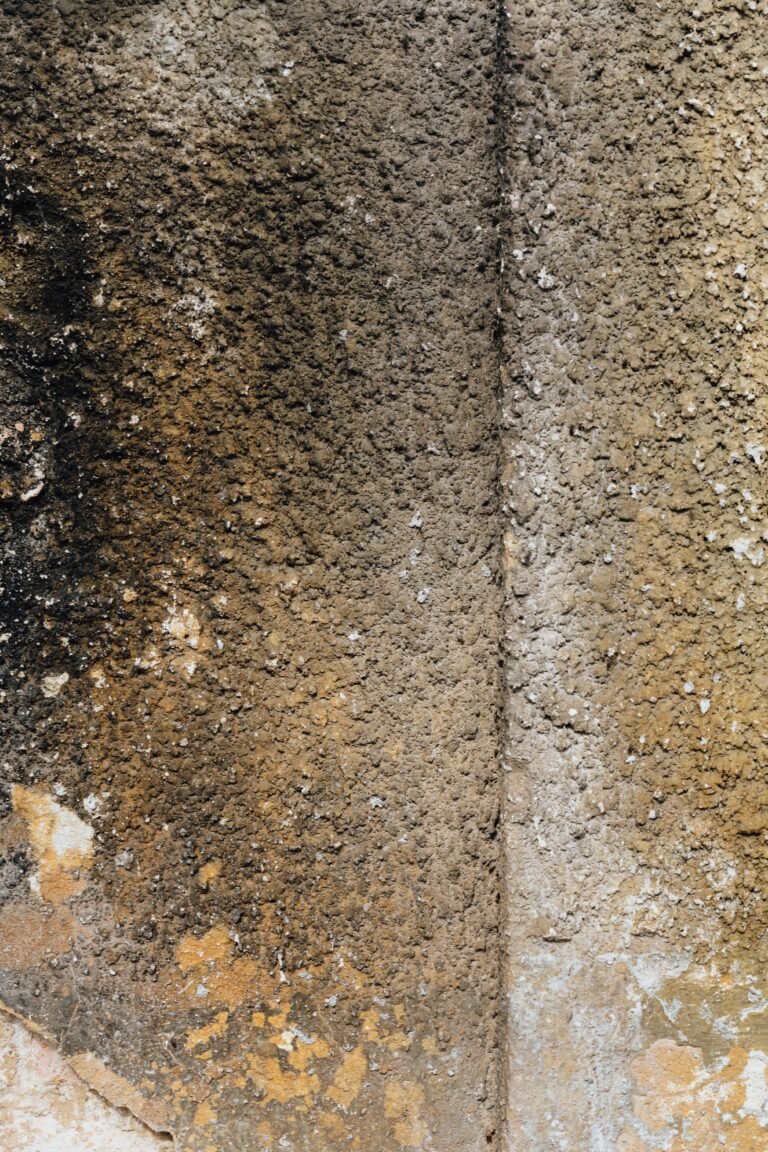 QualTeck Corp provides pre-demolition asbestos surveys